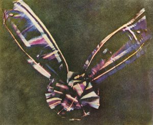 The first colour photograph by Thomas Sutton (1861)